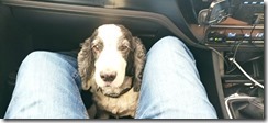 IMG_20220206_085346