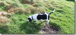 IMG_20220206_124753