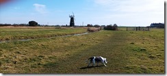 IMG_20220315_122031